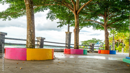 Trees surrounded with colorful concrete in the park in the riverbank