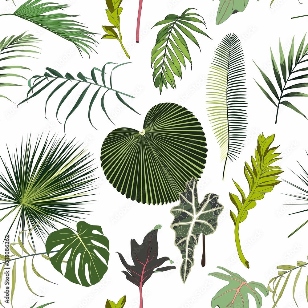 Many kinds of green tropical leaves  on the white background. Seamless pattern with tropical plants. Hand Drawn textures. Ideal for web, card, poster, cover, invitation, brochure. Isolated.