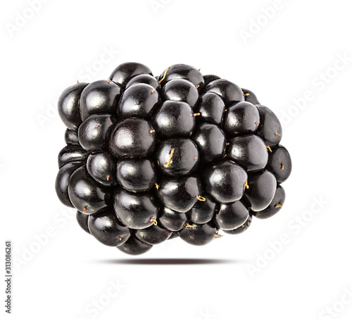 Blackberry isolated on white background with clipping path