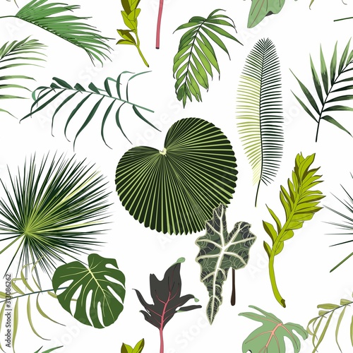 Many kinds of green tropical leaves  on the white background. Seamless pattern with tropical plants. Hand Drawn textures. Ideal for web  card  poster  cover  invitation  brochure. Isolated.