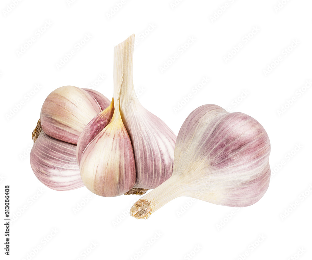 Obraz premium Garlic isolated on white background with clipping path