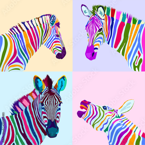 colorful set zebra pop art portrait vector ilustration can be used to design for T-shirt, card, poster, invitation. Vector illustration