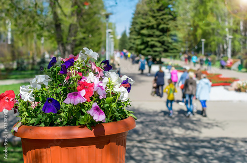 closeup, street pot with flowers on the background of people passing by in a cultural urban green Park for walking and recreation