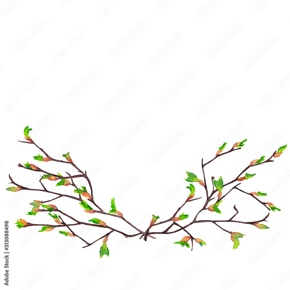 Bouquet of realistic birch branches in spring time with blooming buds, arranged in a garland on two sides. Awakening nature symbol. Watercolor hand painted elements isolated on white background.