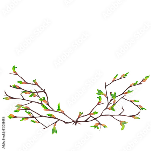 Bouquet of realistic birch branches in spring time with blooming buds, arranged in a garland on two sides. Awakening nature symbol. Watercolor hand painted elements isolated on white background.