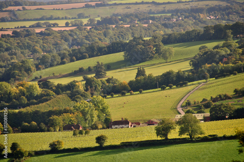 South Downs in Hampshire from Beacon Hill, England, United Kingdom