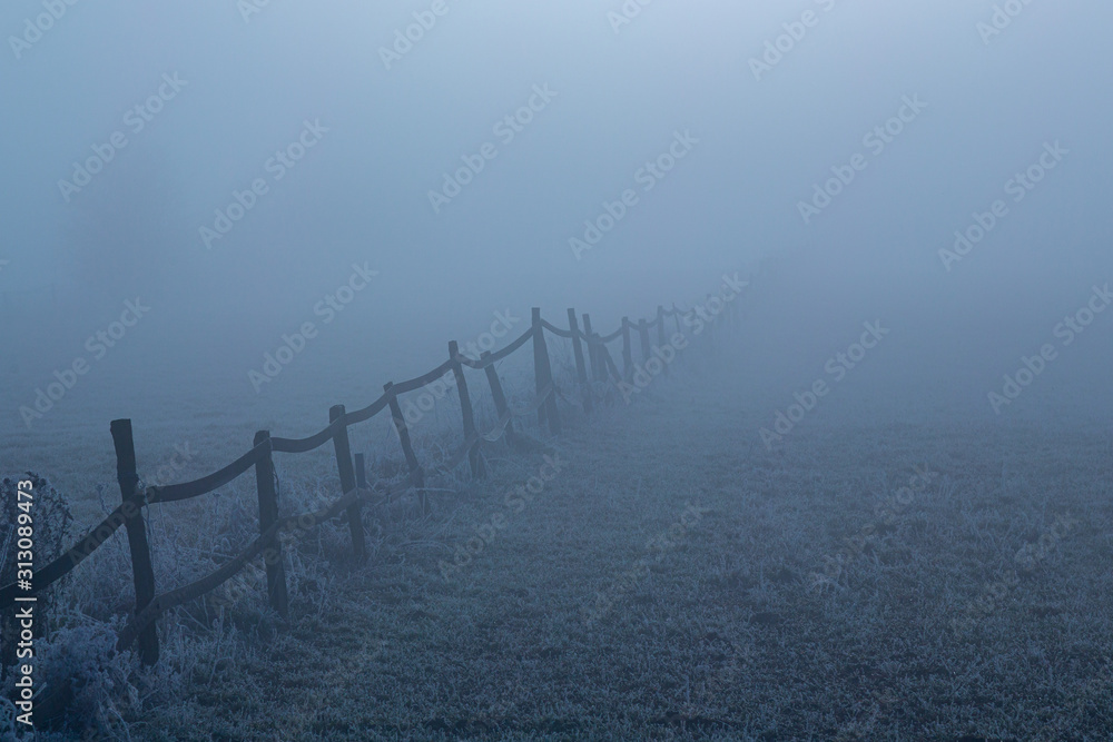 fence on foggy field
