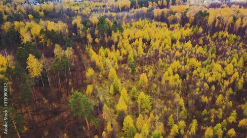  autumn forest aerial view