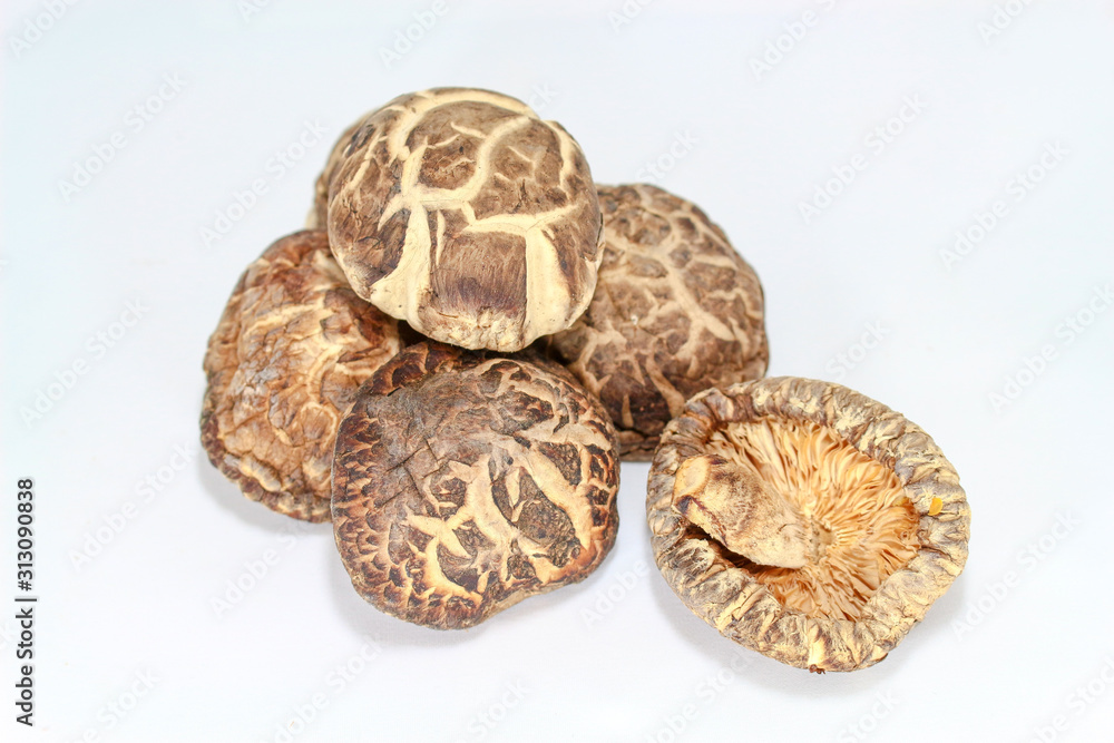 Dried shiitake mushrooms on white background Dried shiitake mushrooms on white background