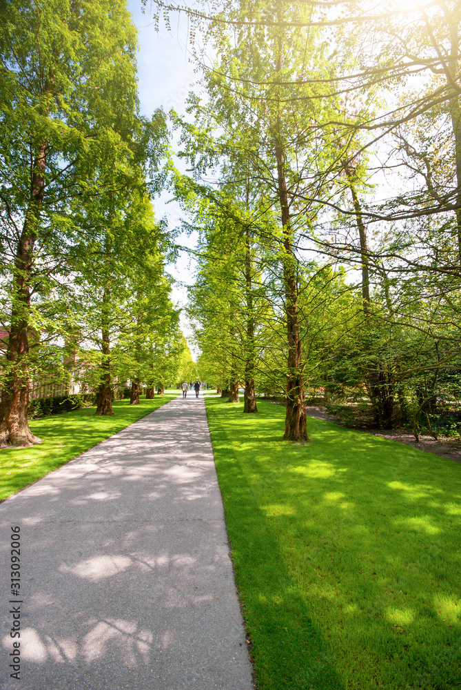 View at beautiful Keukenhof park path under blue sky during annual exhibition