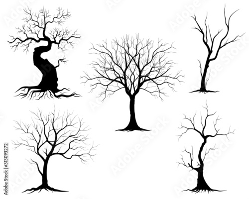 Black Branch Tree or Naked trees silhouettes set. Hand drawn isolated illustrations.