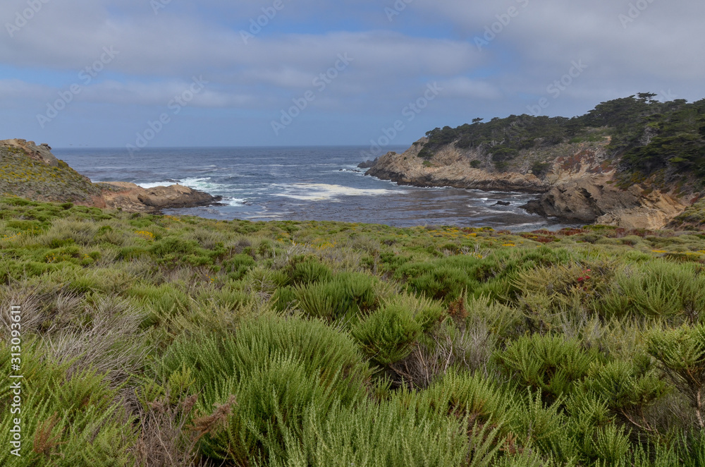Headland Cove at Point Lobos State Natural Reserve (Carmel-by-the-sea, California, USA) 