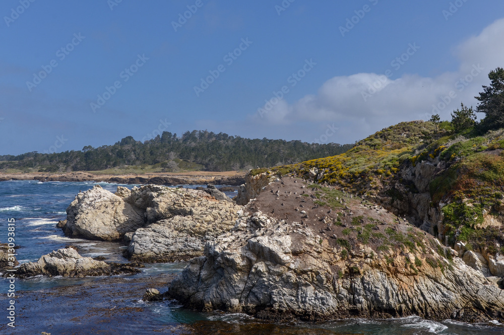 scenic view of Point Lobos rugged coastline from Bird Island lookout (Carmel-By-The-Sea, California, USA)