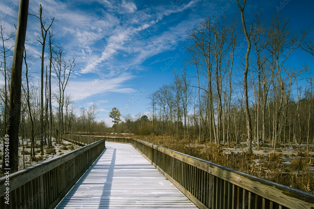 Fototapeta premium frozen boardwalk after a january ice and snow storm in the north carolina piedmont