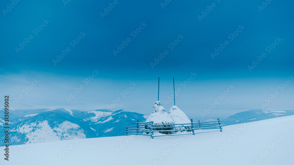 Trees in the mountains. Winter mountains Trees in the mountains. Winter mountains