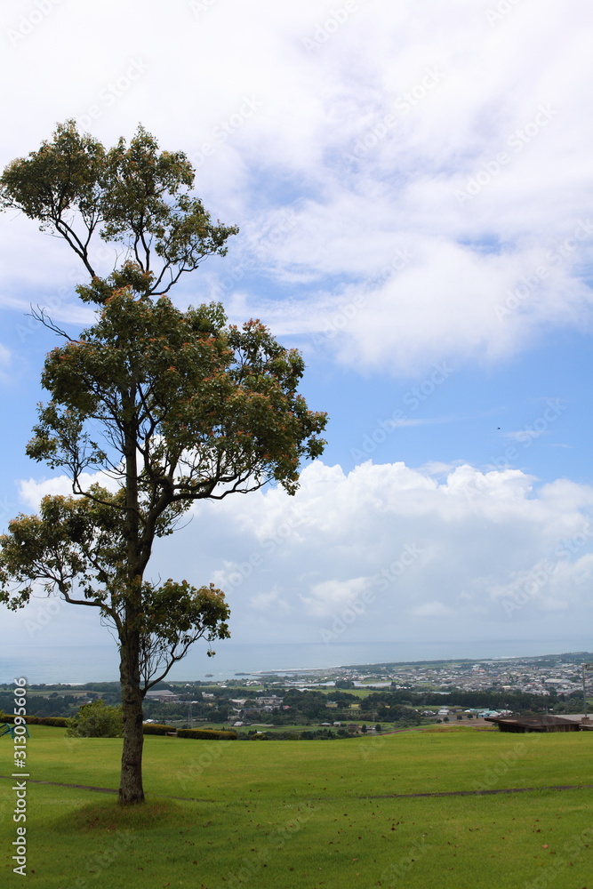 Obraz premium 見晴らしの良い丘