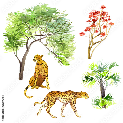 Set of animals and trees of the savannah. Watercolor illustration