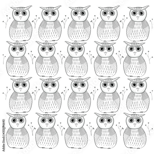 Pattern of owls drawn in black lines. Drawing of birds, owl family.