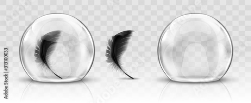 Glass dome or sphere realistic vector. Glass round dome, empty crystal globe and black feather storage container or product presentation case with reflection, illustration isolated on background