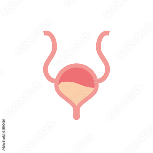 Isolated bladder icon vector design photo