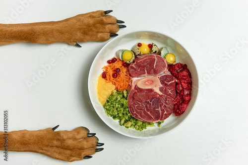 Healthy natural organic dog food BARF diet. Dog's paws by bowl on white background. Raw meat, eggs, vegetables.