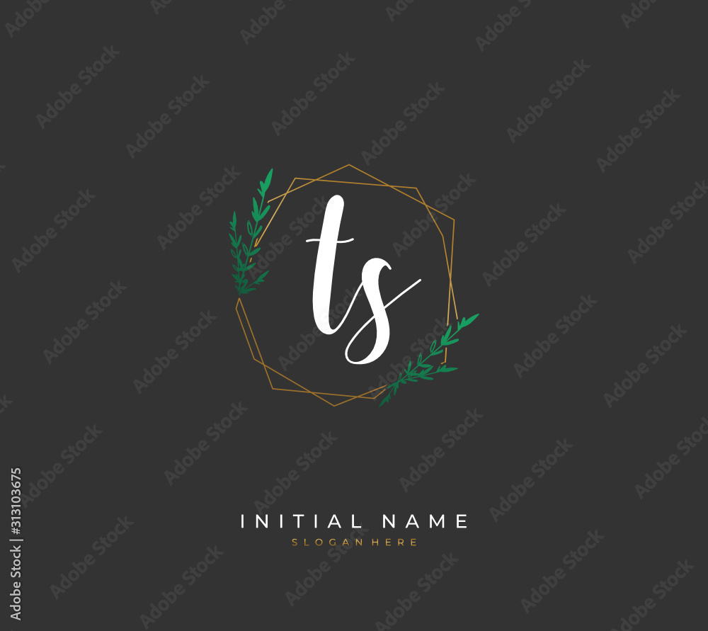 Handwritten letter T S TS for identity and logo. Vector logo template with handwriting and signature style. Handwritten letter T S TS for identity and logo. Vector logo template with handwriting and signature style.