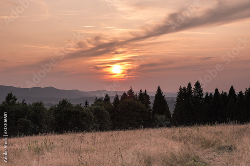 Fototapeta Naklejka Na Ścianę i Meble -  Ciepły zachód słońca nad lasem w bieszczadach 