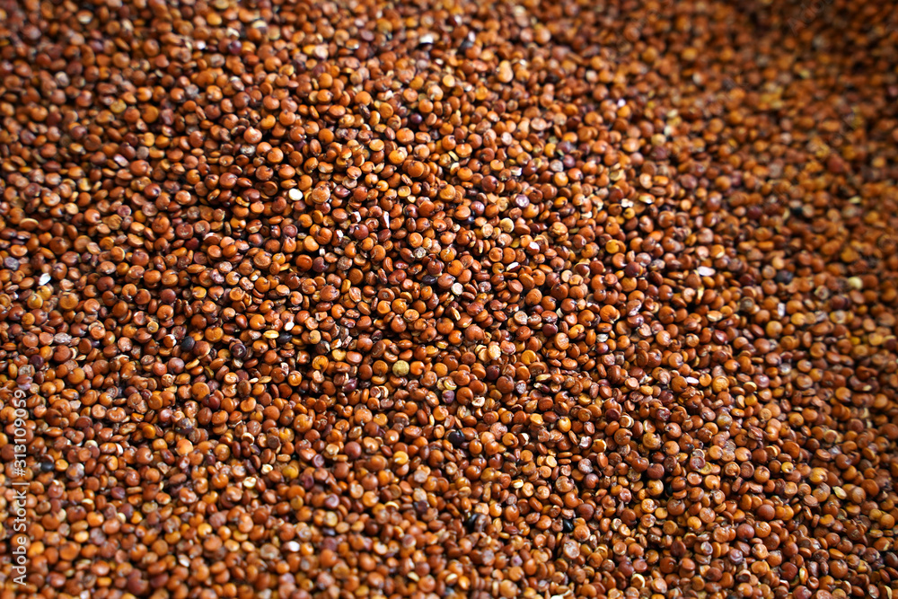 Argentine red quinoa as background. Healthy Eating. Selective focus Argentine red quinoa as background. Healthy Eating. Selective focus