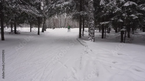 A man cross-country skiing in the winter evening forest. Panoramic view from the back of the athlete. 4k footage.