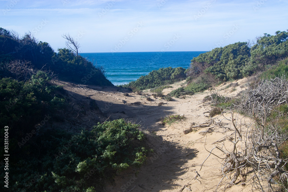 Le dune di sabbia di Punta S'Arena Le dune di sabbia di Punta S'Arena