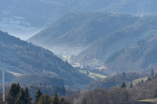 Tal im Schwarzwald, in der Nähe von Freiburg