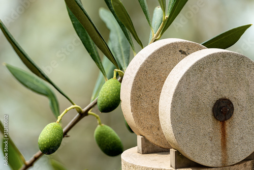 Old millstones for the olive oil - Green olives on the background photo