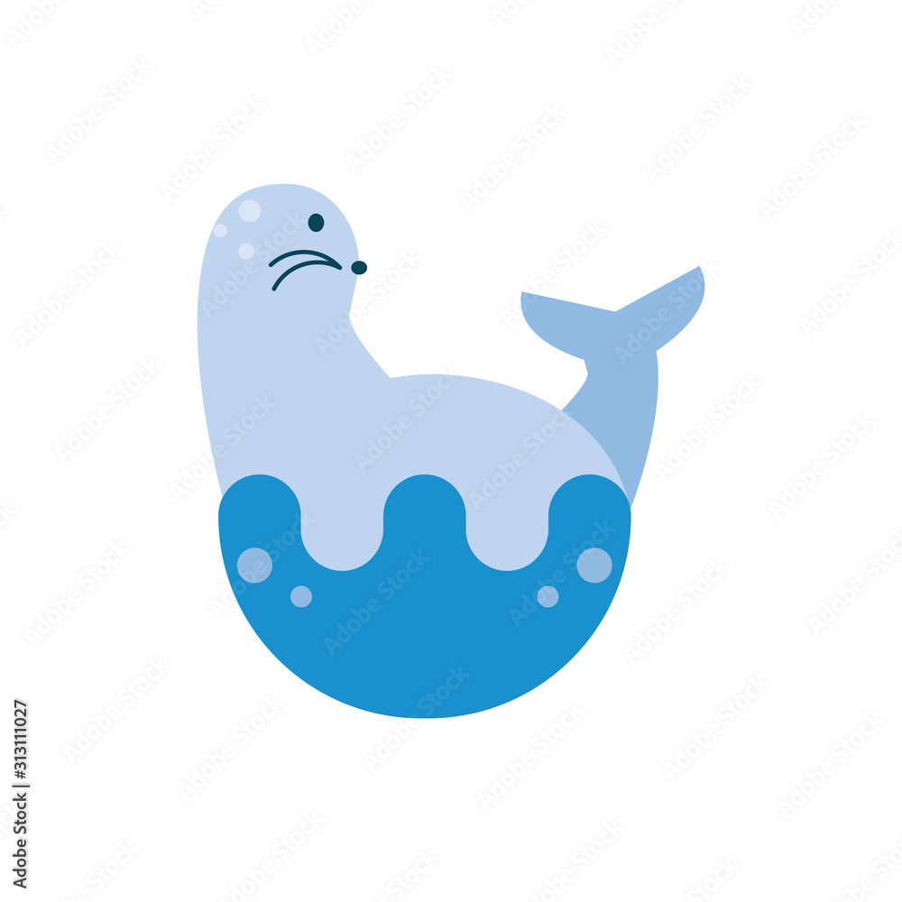 Isolated sealion animal vector design Isolated sealion animal vector design