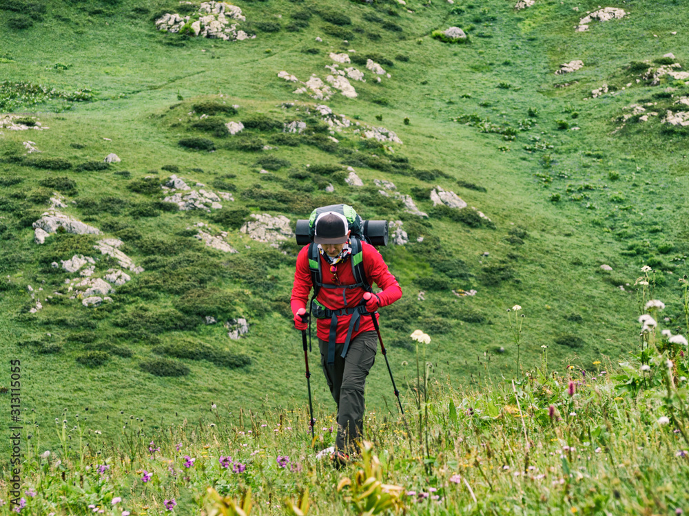 Front view of young tourist with backpack and trekking poles walking on green hills