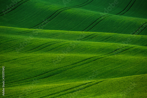 Beautiful green meadows, fields and hills landscape in Moravian Tuscany, South Moravia, Kyjov, Czech Republic.