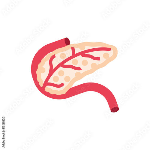 Isolated pancreas icon vector design