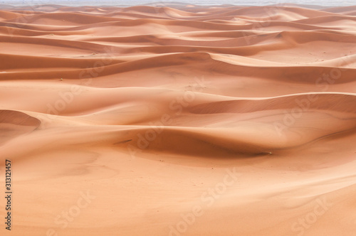 Sand Dune in the Sahara   In the Sahara Desert  sand dunes to the horizon  Morocco  Africa.