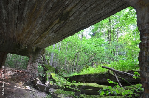 Hitler's Bunker, Wolfsschanze bei Rastenburg (Kętrzyn) photo