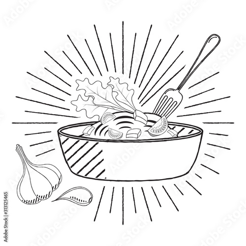 Pasta/ nuddles - vector illustration photo