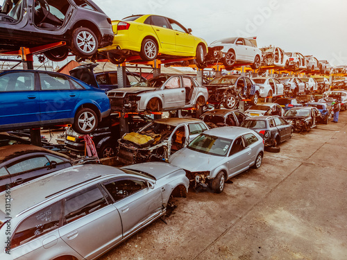 Wallpaper Mural Damaged cars waiting in a scrapyard to be recycled or used for spare parts Torontodigital.ca