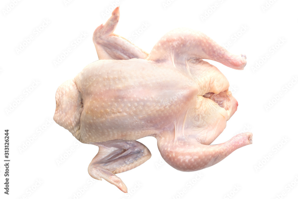 raw fresh chicken for making chicken soup on white background raw fresh chicken for making chicken soup on white background