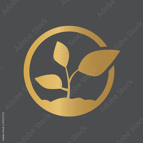 golden young plant icon- vector illustration
