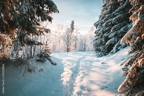 Sunrise, sunset picture in winter, in Scandinavia. Snowie mountains and trees. Travel photography, copy space.