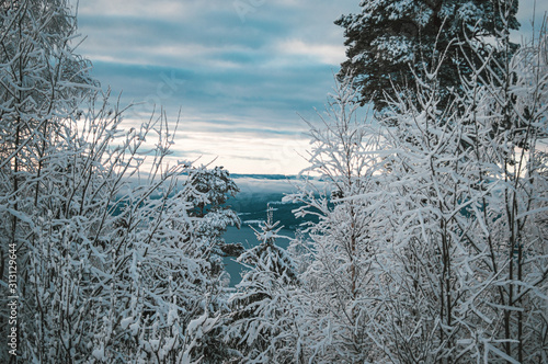 Sunrise, sunset picture in winter, in Scandinavia. Snowie mountains and trees. Travel photography, copy space. photo