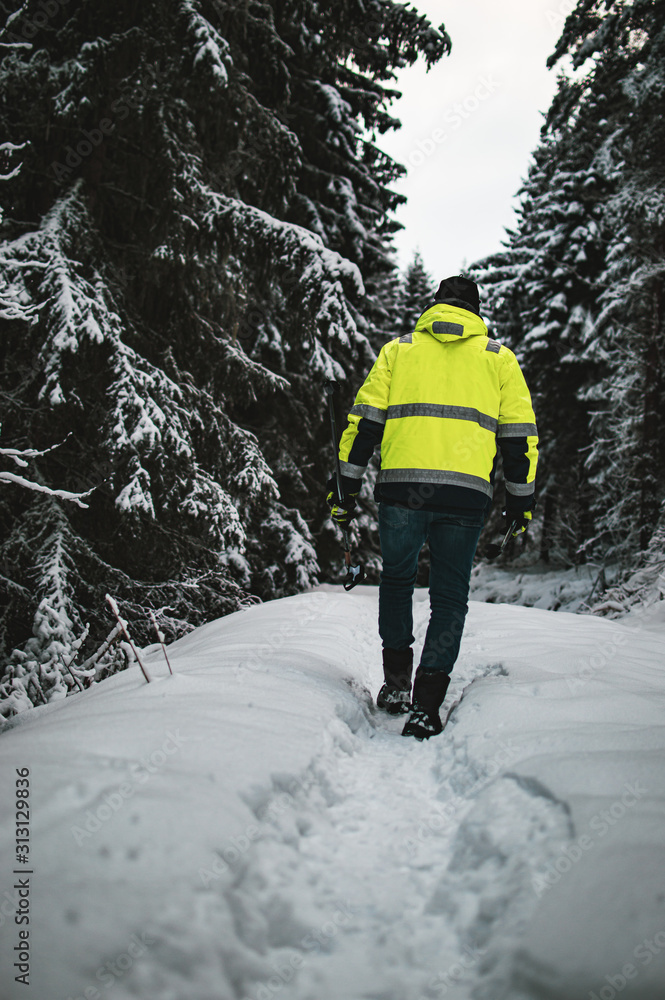 Man walking hiking in a snow, Scandinavian winter. Walking with a sticks, in a pro gear, with a high visibility jacket. Sunrise in Norway. Snow in woods.