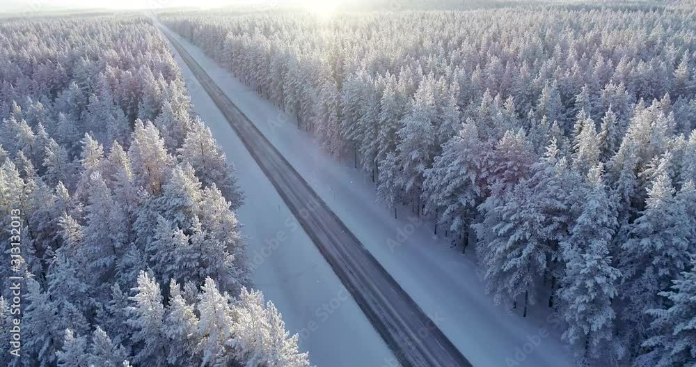 Aerial view of a road in a middle of taiga forest in sunny day Aerial view of a road in a middle of taiga forest in sunny day