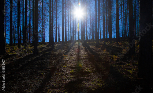 Gran Canaria, December