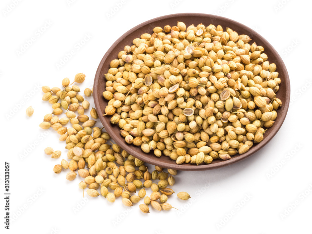 Spice coriander (Coriandrum sativum) seeds in clay plate isolated on white background. Indian cuisine, ayurveda, naturopathy concept