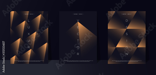 Black premium background set with luxury dark golden geometric elements. Rich background for poster, banner, flyer, presentation, web design etc. Vector EPS