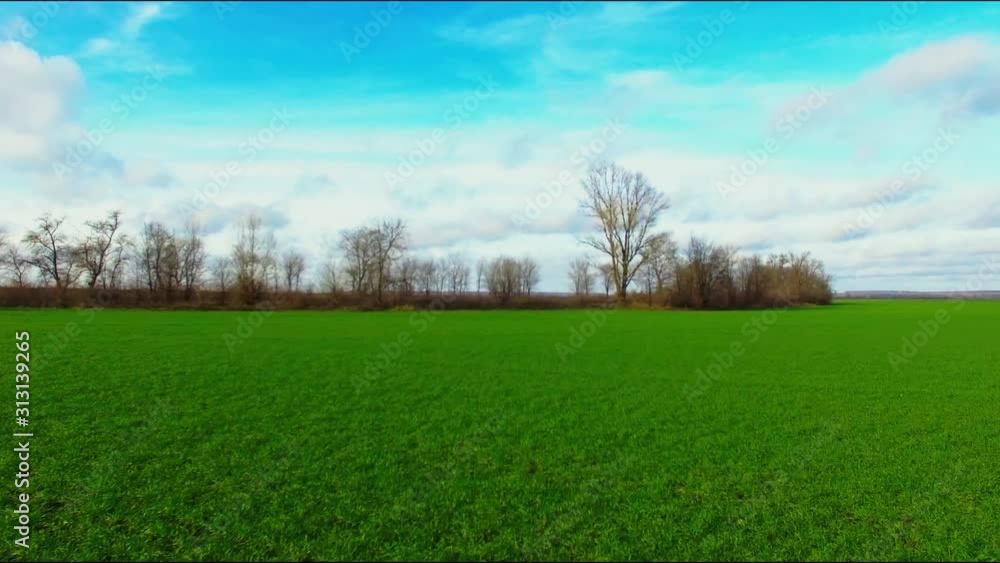 Green field agriculture farming wheat growing aerial photography drone Green field agriculture farming wheat growing aerial photography drone